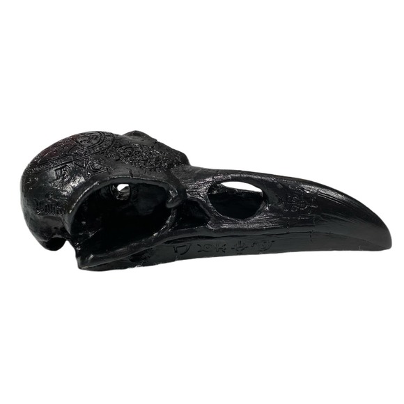 Black Resin Raven Skull Goth Halloween - Picture 3 of 7